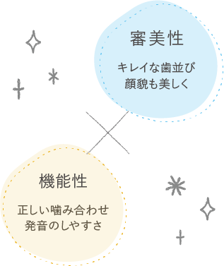 矯正治療による審美性と機能性のイラスト